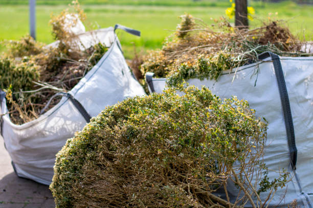 Best Construction Debris Removal  in Piedmont, SC